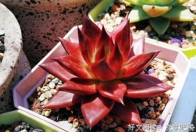 别人并不会完全理解你，所以不要有过多期待