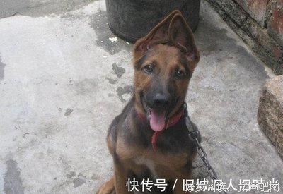 你们觉得这个医生的做法有什么问题吗