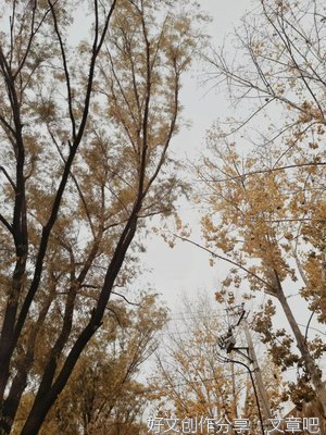 在平淡中营造一种和谐，那便是生活最美的模样