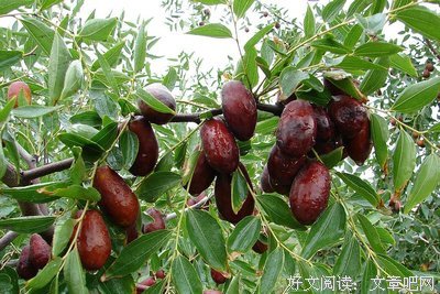 大彻大悟后，再选择正确方向是至关重要
