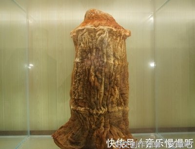 你们有听说过tai pan是大补的东西吗？你们有谁吃过吗？