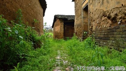 在那围观了一会终于明白了事情的经过