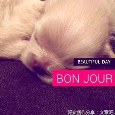  我想说的是，感觉这邻居也太矫情了吧