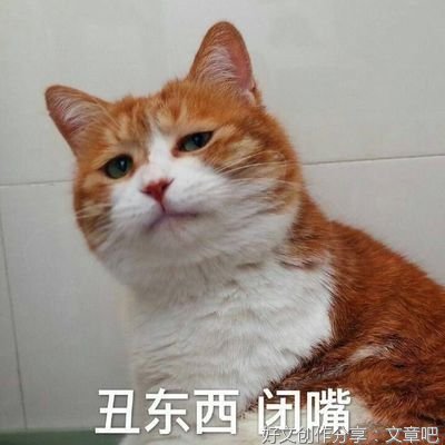 哪一个瞬间，让你突然明白，人，只能靠自己？