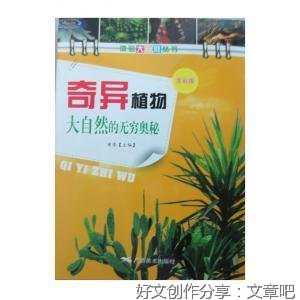 它是我这些年读的最好的书籍，并且从中获得了无穷的智慧