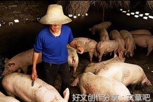 以前的农民养鸡鸭鹅猪，为什么现在少有人养了？