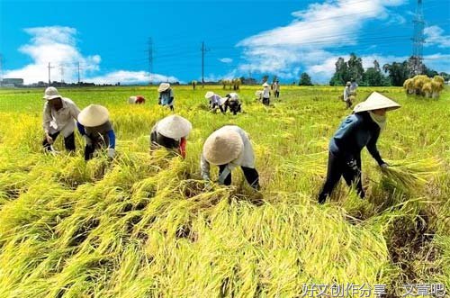 男人在外拼命，她在家不知道怀了哪个情人的孩子，还生了出来