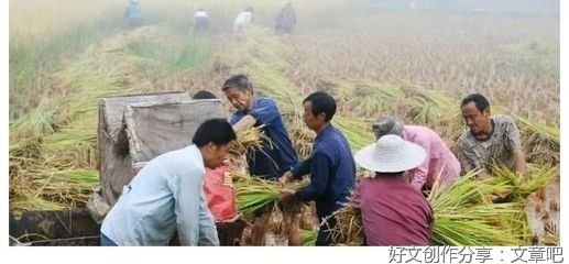 为什么现在少有人养了？农民不勤快了吗？