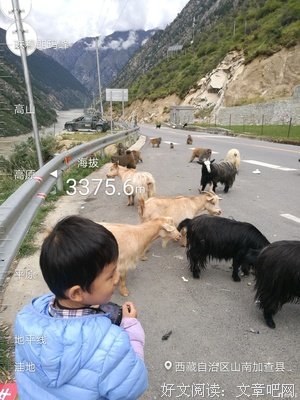 一路向西，超速向前