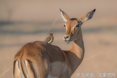  人与人之间最好的关系