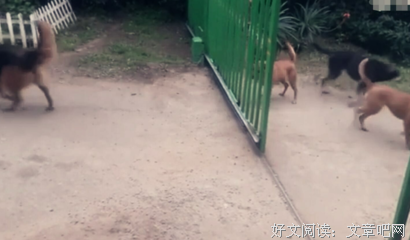  周星驰之后不会再有了