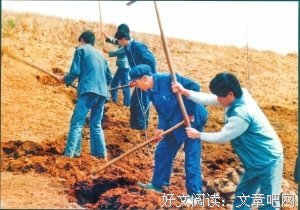  清廉一生 匠心为国