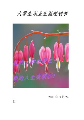 性别无法定义我的人生