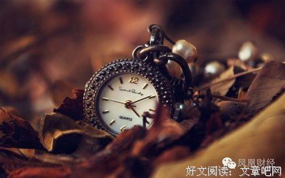  我们都老得太快，却聪明得太迟