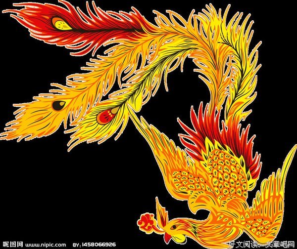 爱情是什么