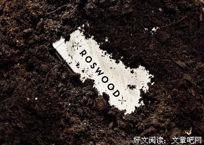 文盲不可怕，美盲才可怕