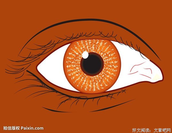 总有一种灵魂让人泪流满面