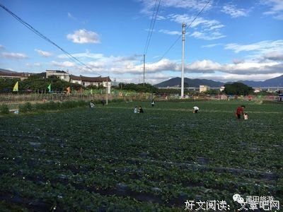  读书不能一日游