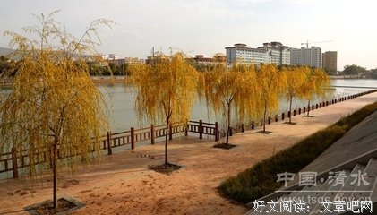 高品质城市建设管理工作
