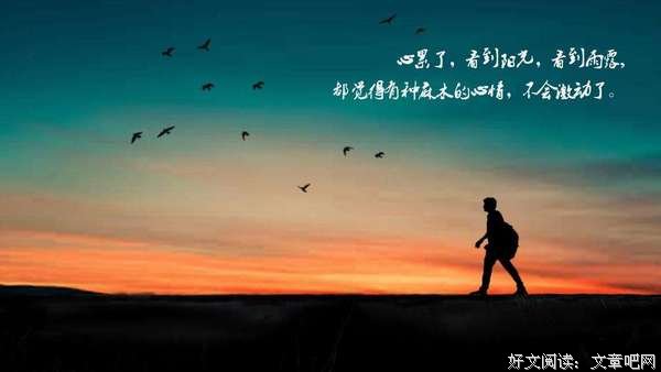 所谓的悸动的心是什么