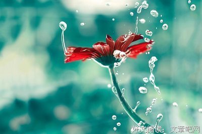禅卡塔罗：为什么我不相信外力复合