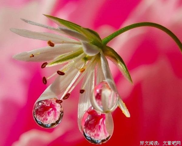 禅卡塔罗：信任是一剂强心剂