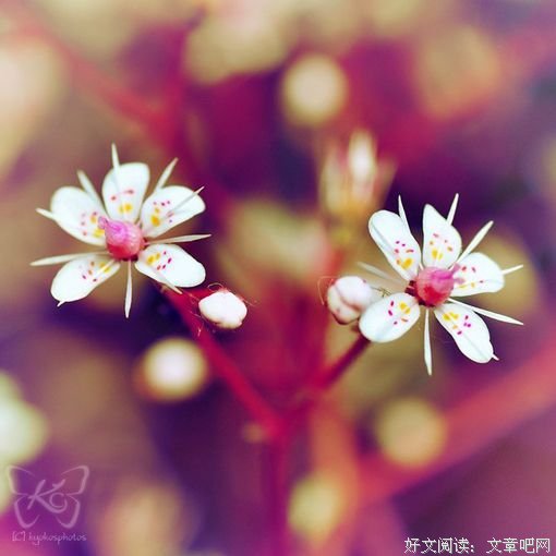 禅卡塔罗：相互性，你会得到更多