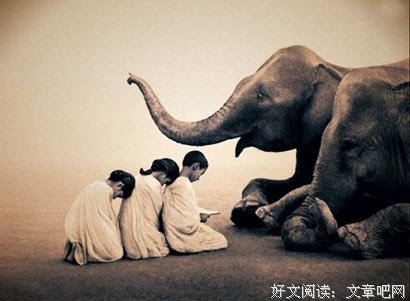 禅卡塔罗：试过它，你会感觉到它的不一样