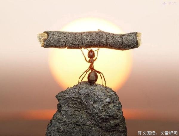 禅卡塔罗这6点，塔罗占卜对你只会有利无害