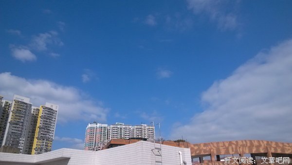 十二天：美丽的一场梦