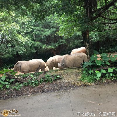 与你们一起成长