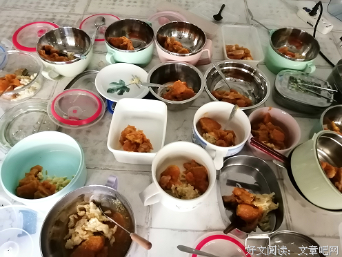 蒲公英三下乡后勤心得