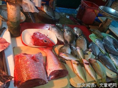 蒲公英队支教组心得黄宗铎
