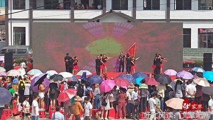 陈家小学社会实践心得