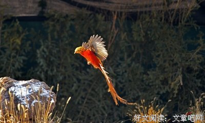 只要你记得