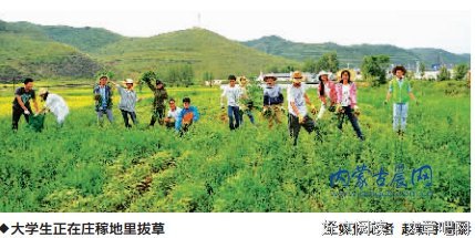 商学院领导老师走访“依米花”社会实践队