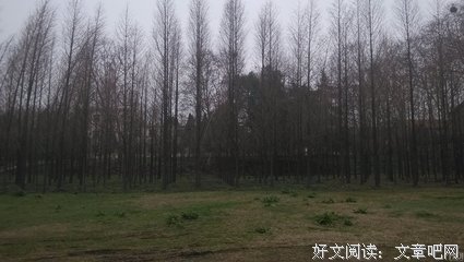 心得第一天