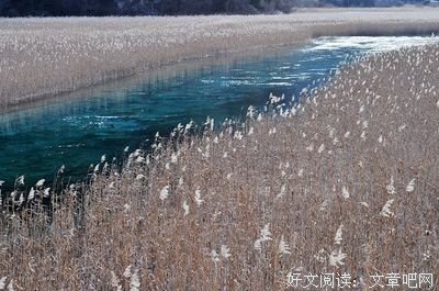 阳光下的温情