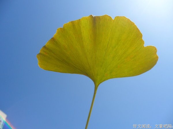 再见依然小雨白云晴天彩虹