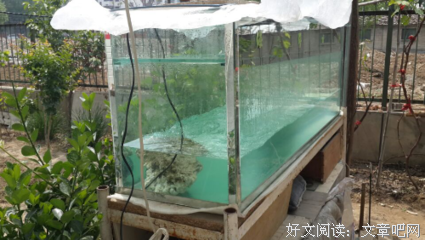 滚滚红尘，谢谢你们曾陪过我
