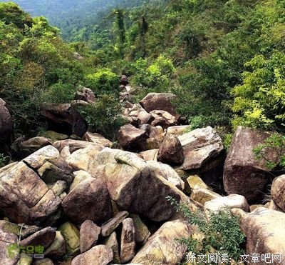 又探新村附近
