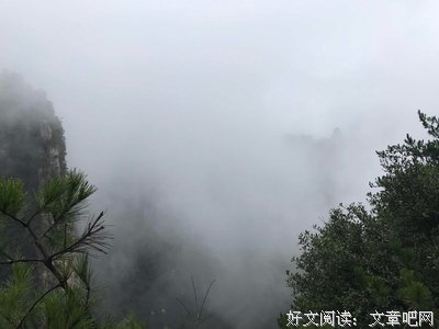 公园群——大雾岗森林公园