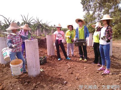 【岭南师范学院】三下乡||“向阳”给我一颗糖