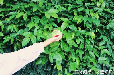寻找村委会