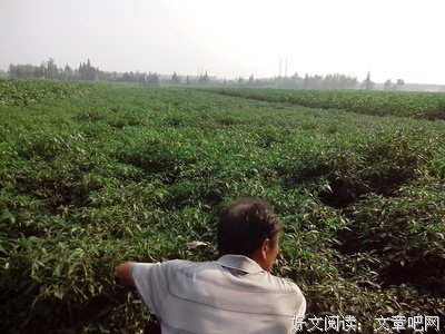 不断学习，不断进取