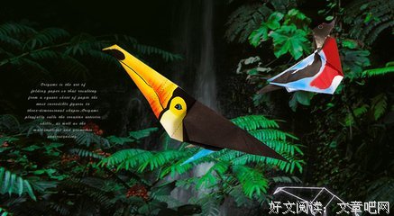 趣味折纸，折射大千世界
