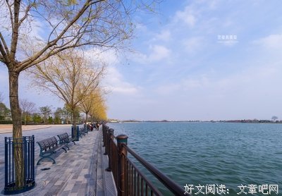 “星愿” 大合唱：那些花儿