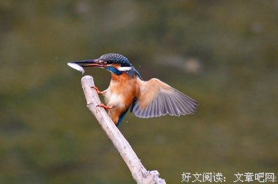 生世多畏惧，安全在我行
