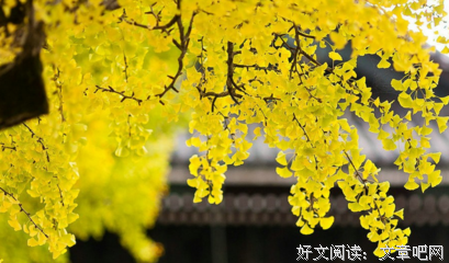 感恩的品德，你值得拥有