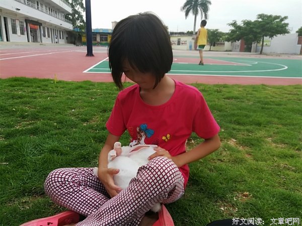 可爱的人儿与兔兔